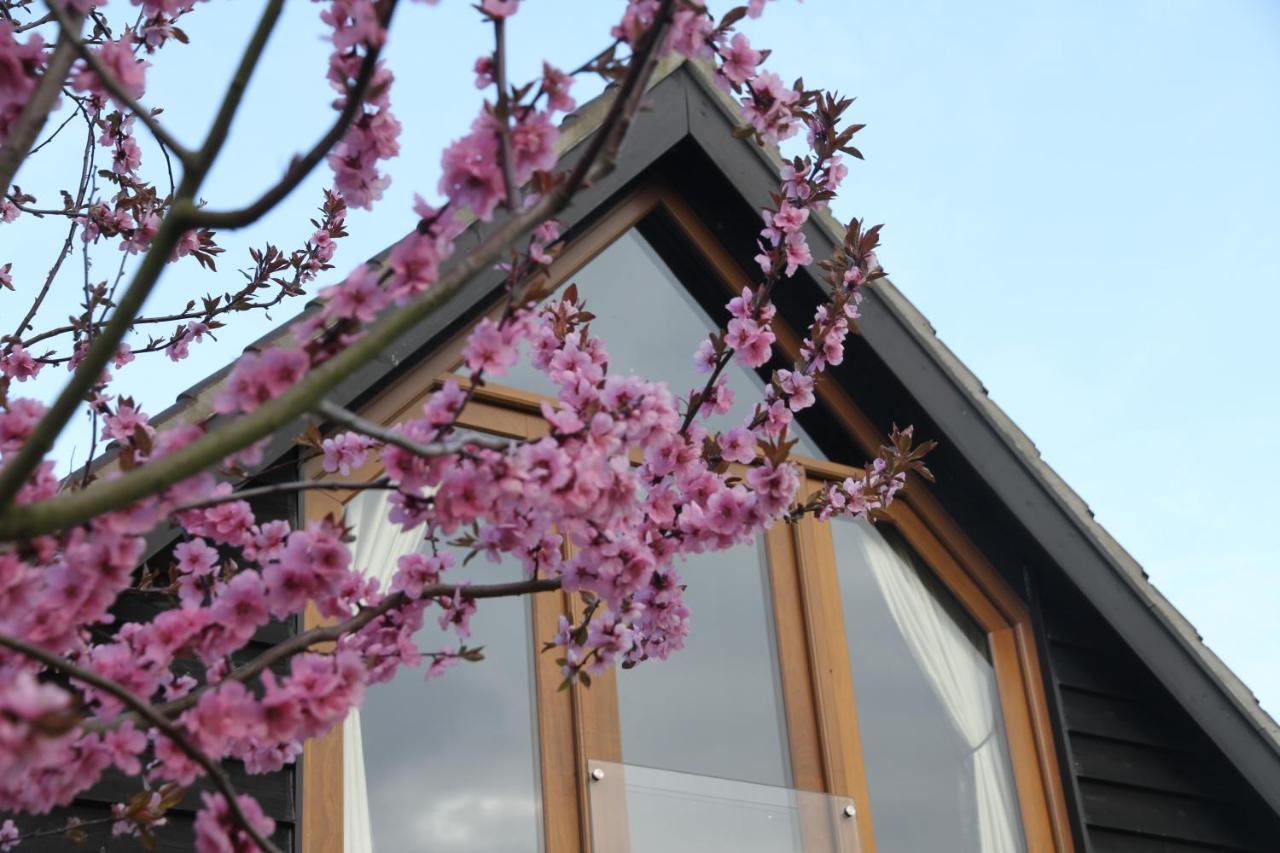 Superb Stokesby Barn Apartment - Norfolk Broads&Norwich Exterior foto